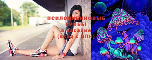 экстази Заводоуковск