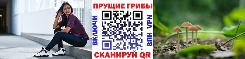 Псилоцибиновые грибы Psilocybe  Купить где  Еманжелинск 